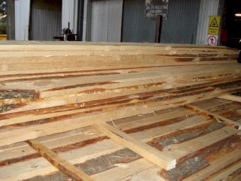 timber/pine/fence/wood/pallet/radiata/cheap/