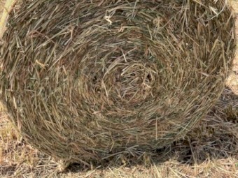 Prime  4*4 Oaten Hay Drop deck load of 44 bales