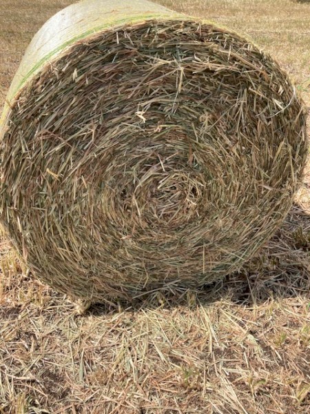 Prime 4*4 Oaten Hay -24 load body truck