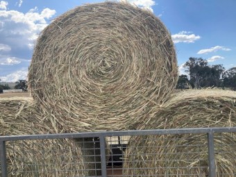 Prime  4*4 Oaten Hay Drop deck load of 44 bales