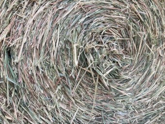 Prime  4*4 Oaten Hay Drop deck load of 44 bales