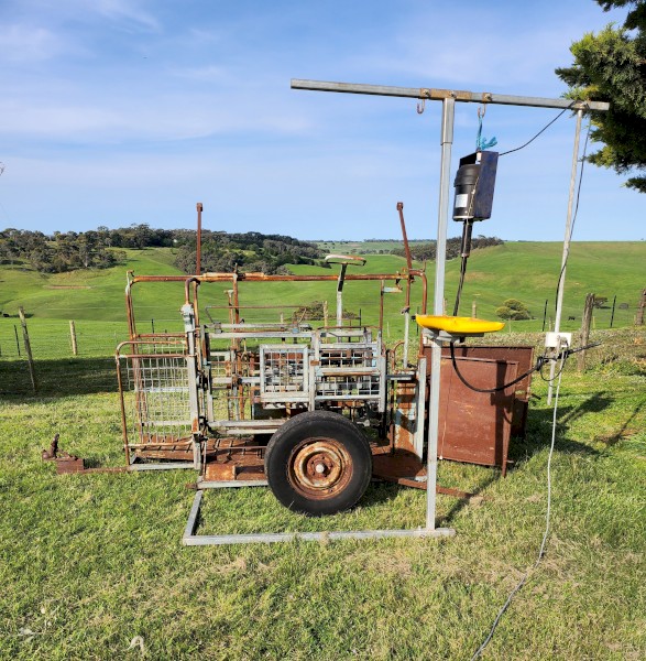 Draffen sheep handler.