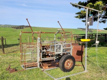 Draffen sheep handler.