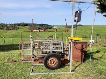 Draffen sheep handler.