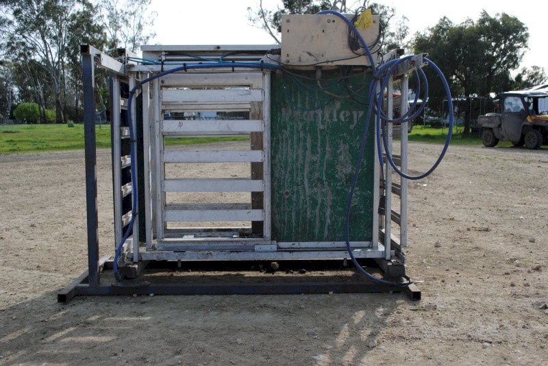 Prattley Sheep Auto Drafter