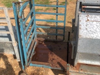 Peak Hill Sheep Immobilizer