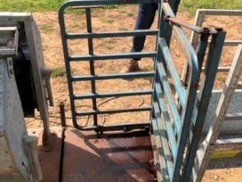 Peak Hill Sheep Immobilizer