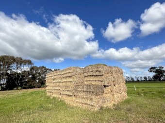 Rye Grass Hay For Sale