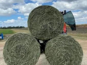 Lucerne Hay, Barley Hay, Alfalfa Hay, Rhodes Hay, Vetch Hay and Oaten Hay Available 