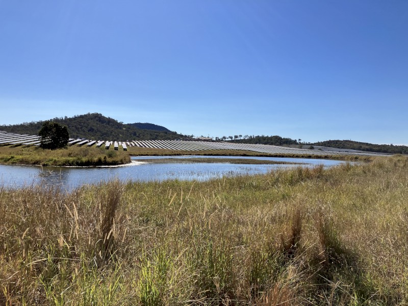 Long Term Sheep Agistment available. Near Gympie Region, Queensland. Aprox 500 hectares of land.