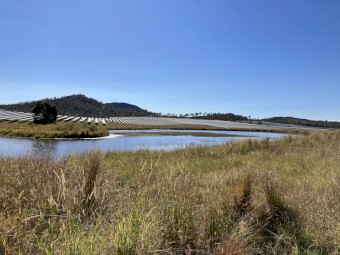 Long Term Sheep Agistment available. Near Gympie Region, Queensland. Aprox 500 hectares of land.