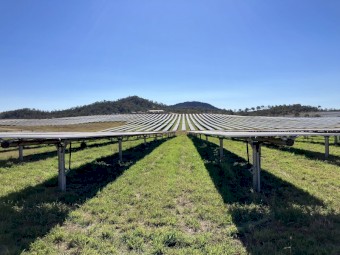 Long Term Sheep Agistment available. Near Gympie Region, Queensland. Aprox 500 hectares of land.