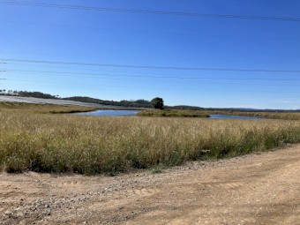 Long Term Sheep Agistment available. Near Gympie Region, Queensland. Aprox 500 hectares of land.