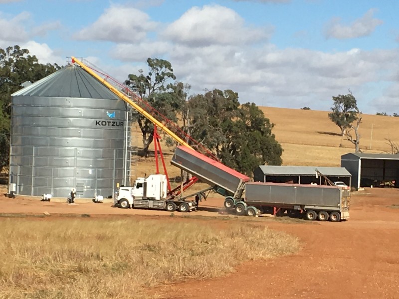 2008 Muscat B Trailer