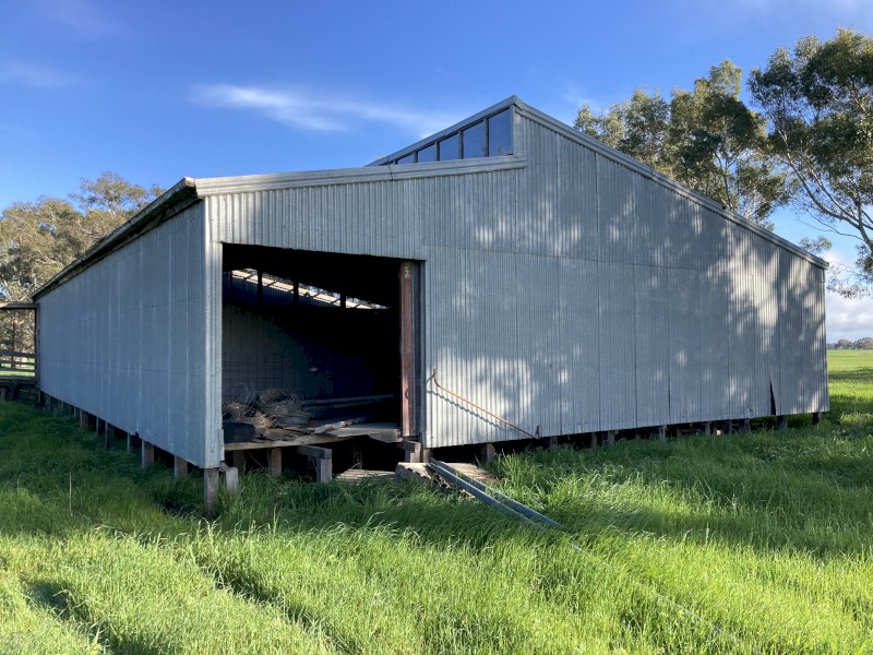 Shearing shed