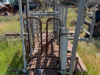 Draffen Sheep Handler