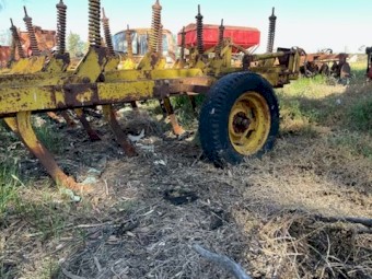 Connor Shea Scarifier