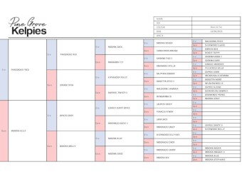 Stud Working Kelpie Pups For Sale, 1 male & 1 female.