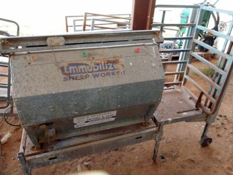 Peak Hill Immobiliser