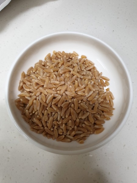 WANTED Khorasan Wheat