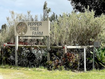 PEPPER TREE FARM - 8.2HA 