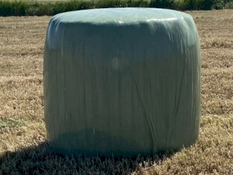 New season pasture silage 