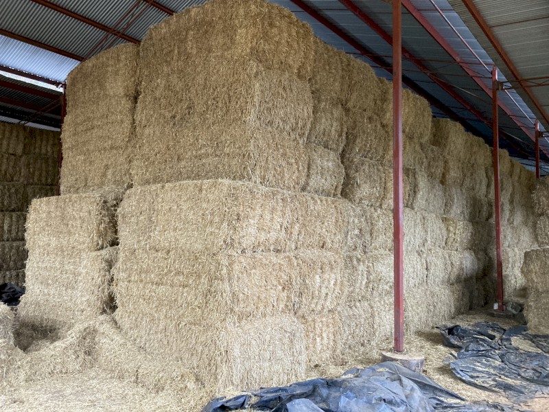 Barley straw Header tailings | Farm Tender