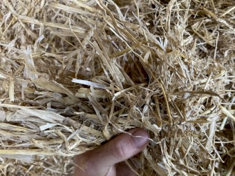 Barley straw Header tailings 
