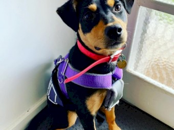 WANTED Seeking House and Land package for Lease