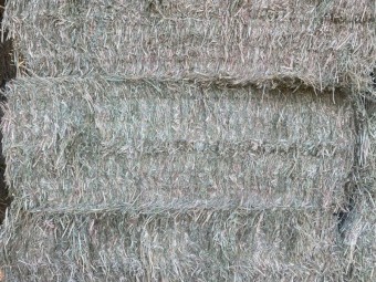 90 x Oaten Hay 560kg 8x4x3 Bales (New Season 23/24)