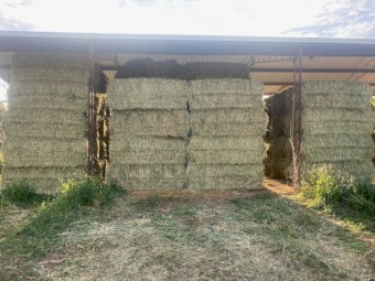 90 x Oaten Hay 560kg 8x4x3 Bales (New Season 23/24)