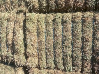Vetch Hay 690kg 8x4x3 Bales