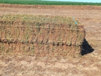Vetch Hay 690kg 8x4x3 Bales