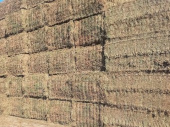 Vetch Hay 690kg 8x4x3 Bales