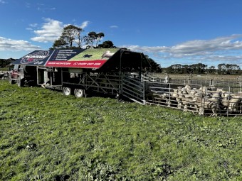 Lamb Marking Trailer