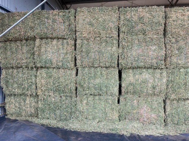 88 x Pea Hay 560kg 8x4x3 Bales (New Season 23/24)