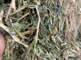 88 x Pea Hay 560kg 8x4x3 Bales (New Season 23/24)