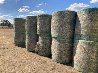 Load of 44 Prime Lucerne Hay 4*4  New Season
