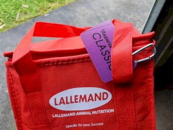 Lallemand Magvina Classic Silage Inoculant