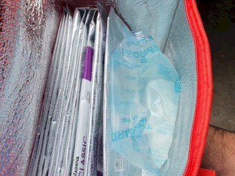 Lallemand Magvina Classic Silage Inoculant