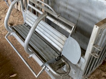 Sheep handler -left handed