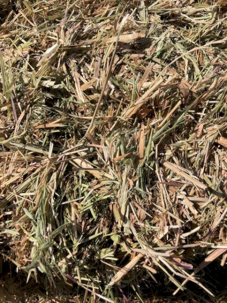 Oats + Ryegrass + Vetch hay