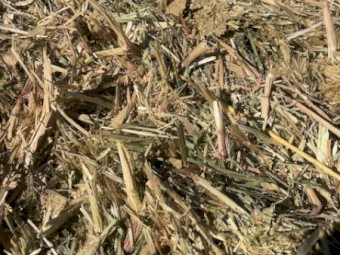 Oats + Ryegrass + Vetch hay