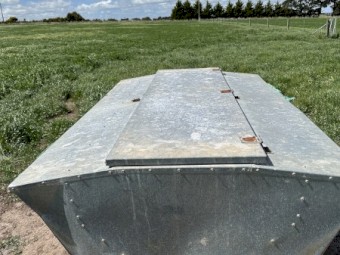 Sheep grain feeder