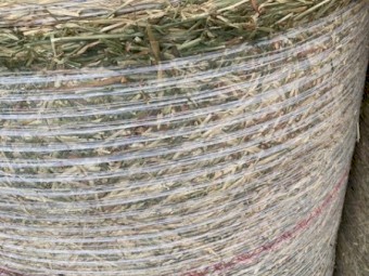 Quality Barley 4*4 Rounds