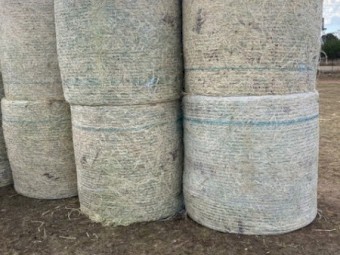 Quality Barley 4*4 Rounds