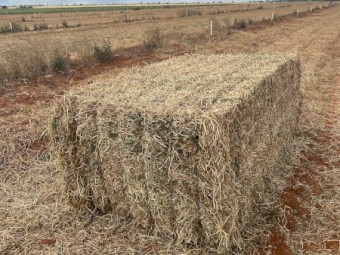 144mt Vetch Hay 600kg 8x4x3 Bales New Season