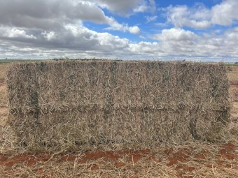 144mt Vetch Hay 600kg 8x4x3 Bales New Season