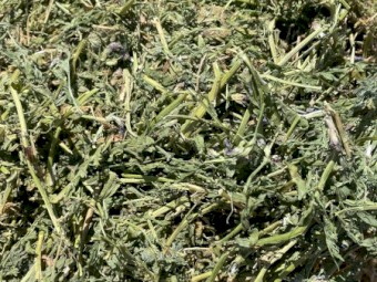 250mt Vetch Hay 8x4x3 Bales (New Season 23/24)