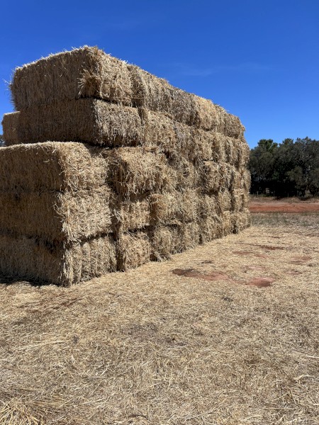 38mt Oaten and Vetch Hay 8x4x3